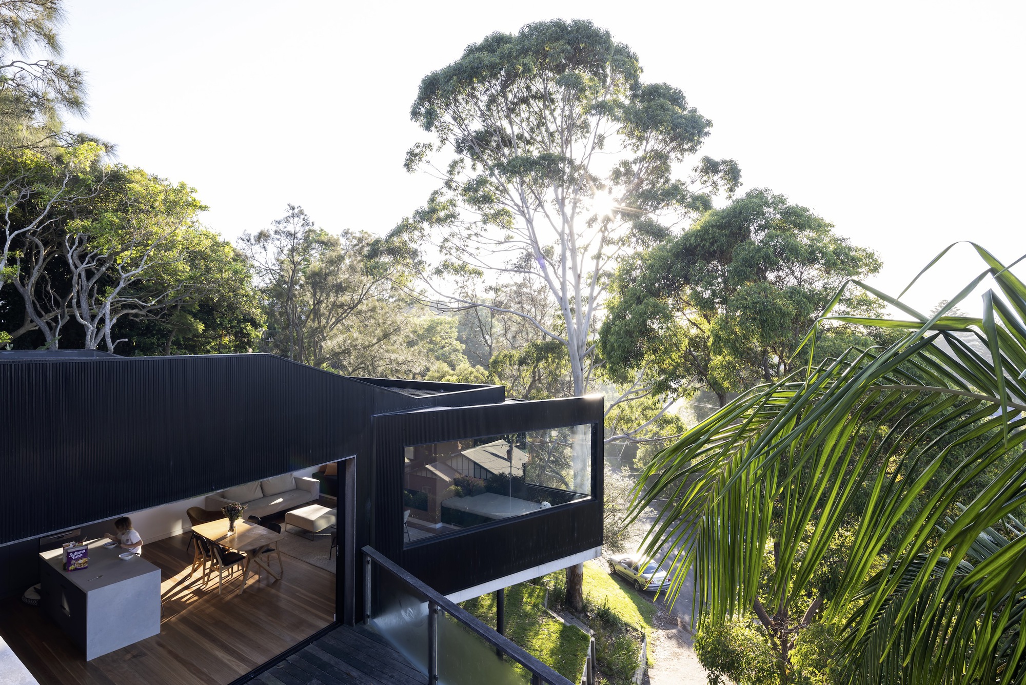 树屋丨澳大利亚悉尼丨North by north-9