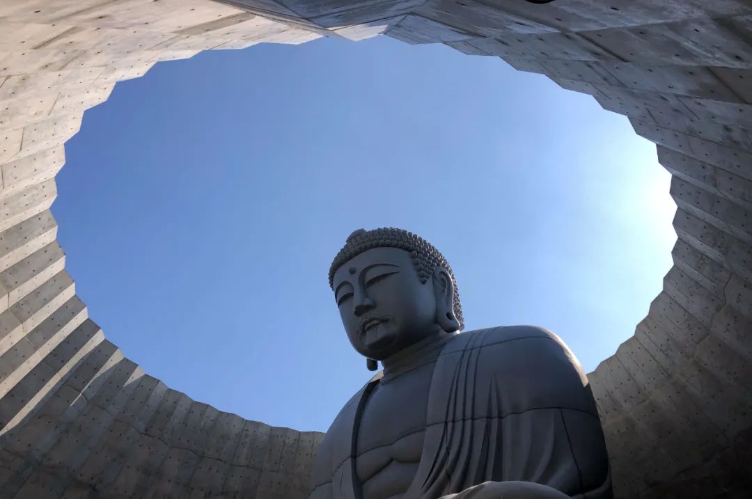 安藤忠雄的建筑作品丨安藤忠雄建筑工作室-279