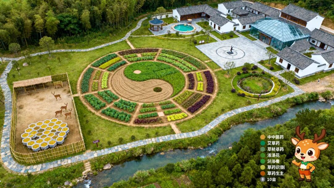 华中百亩“本草秘境”：三产融合营地创新规划与运营方案-21