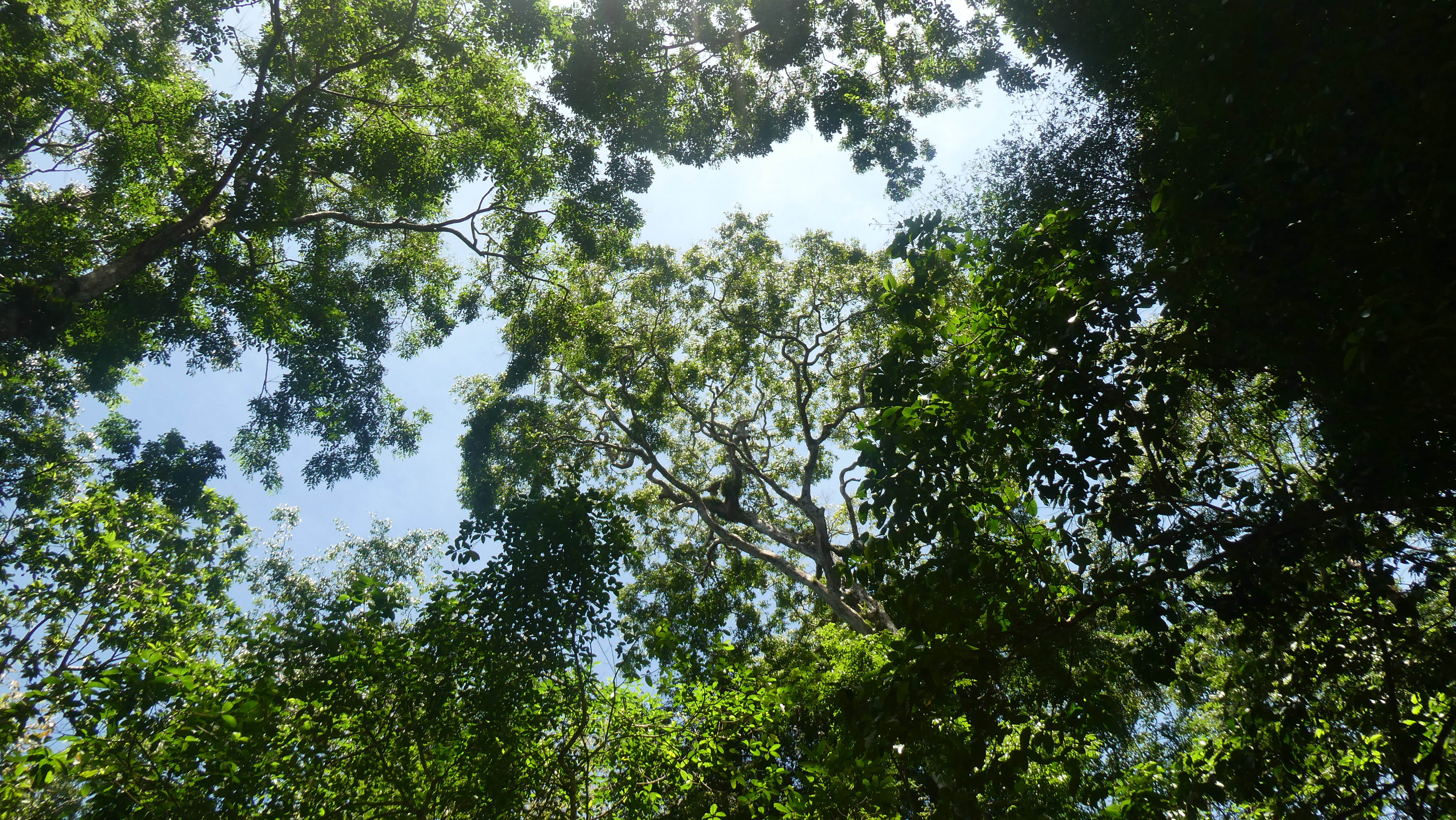 开阔的丛林小屋丨哥斯达黎加-3