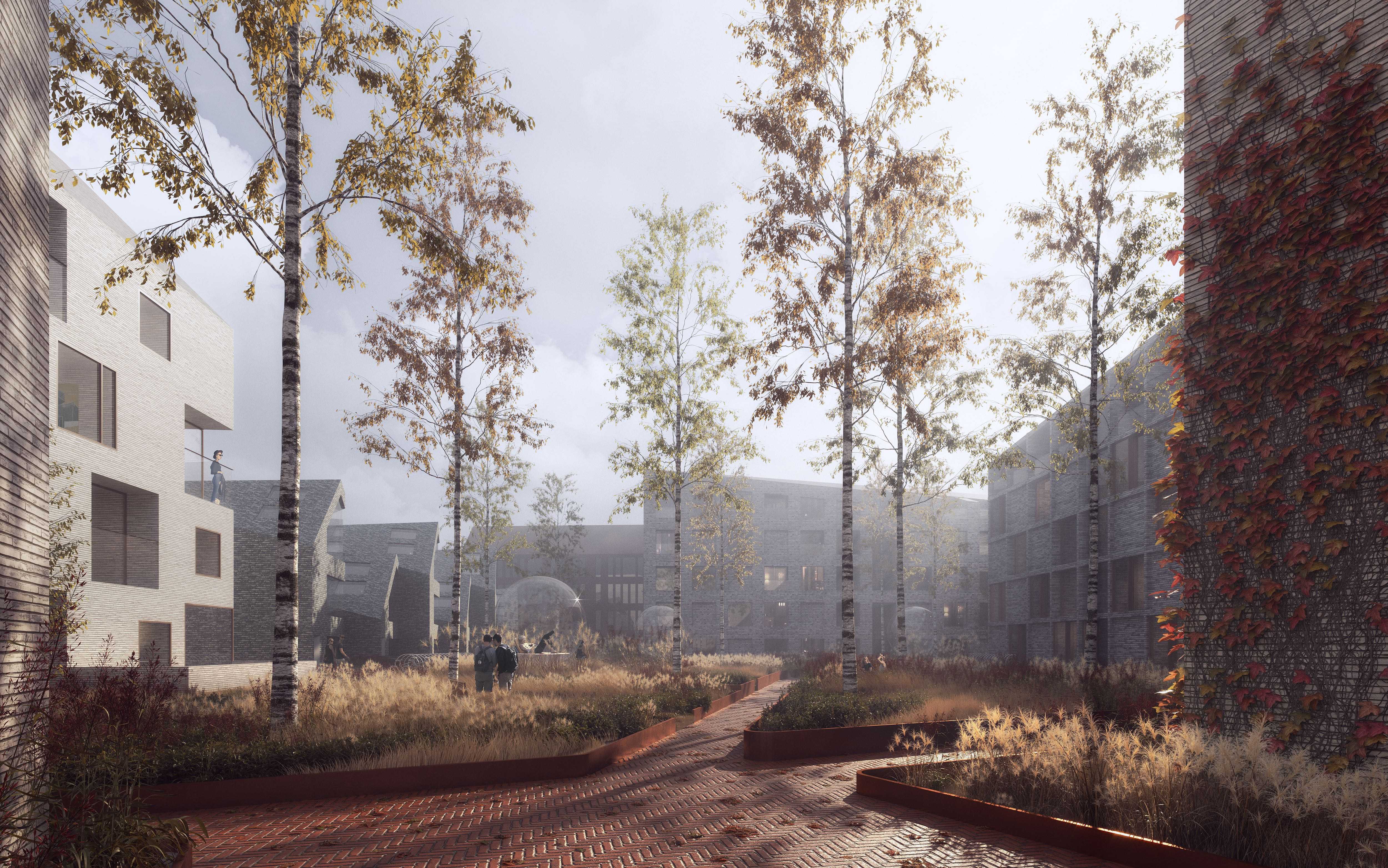 芬兰 Jyväskylä市康纳斯区花园之城规划-19