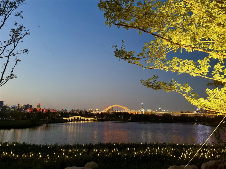 境誉|点亮“优异之光”!上海世博文化公园景观照明荣膺2025年第十届亚洲照明设计奖-146