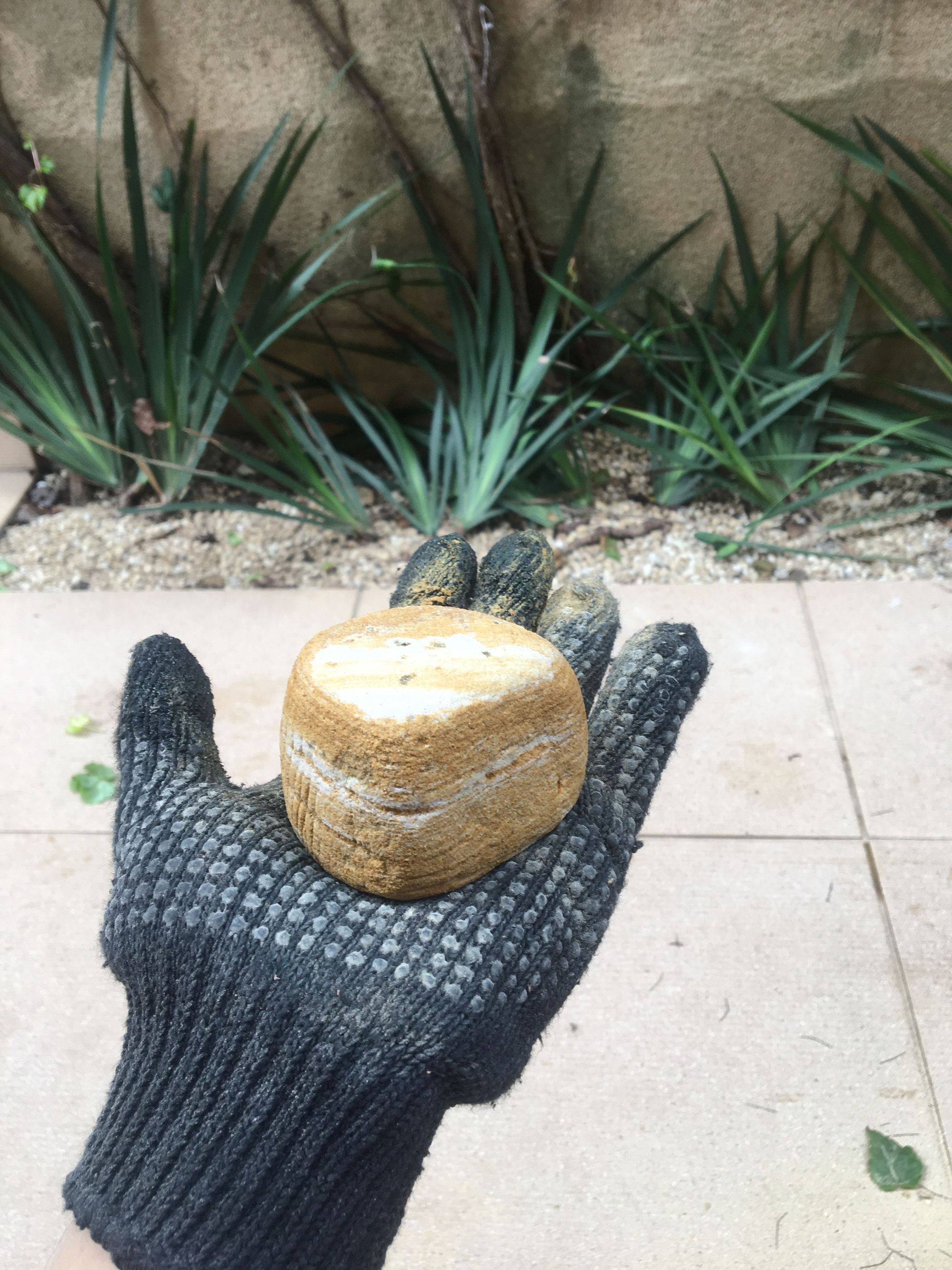 Carol Arbe· 商店丨巴西圣保罗丨RUÍNA-49