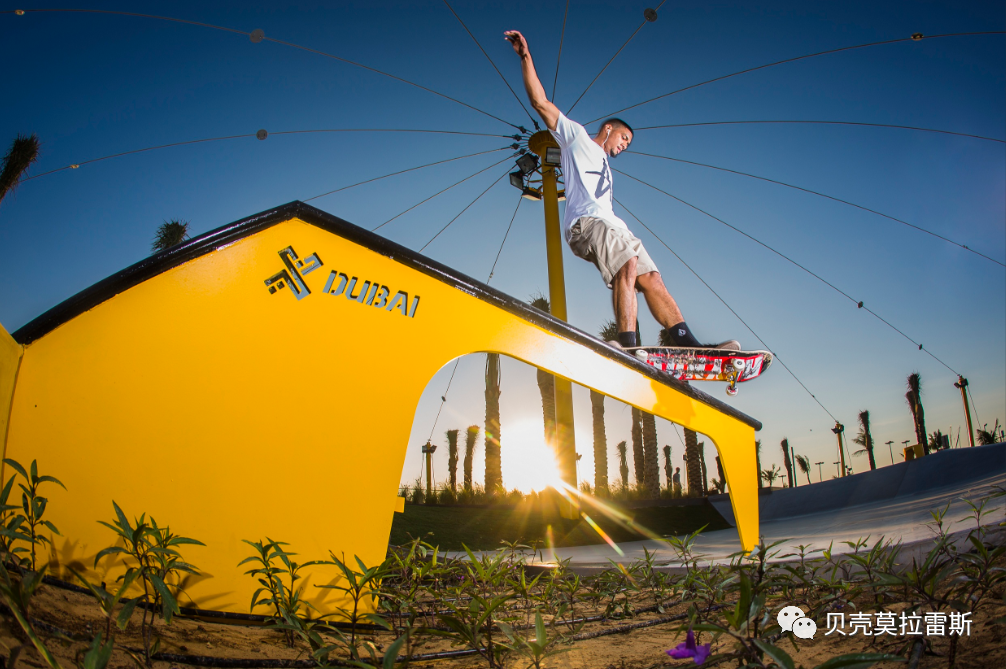 滑板公园设计丨美国-18