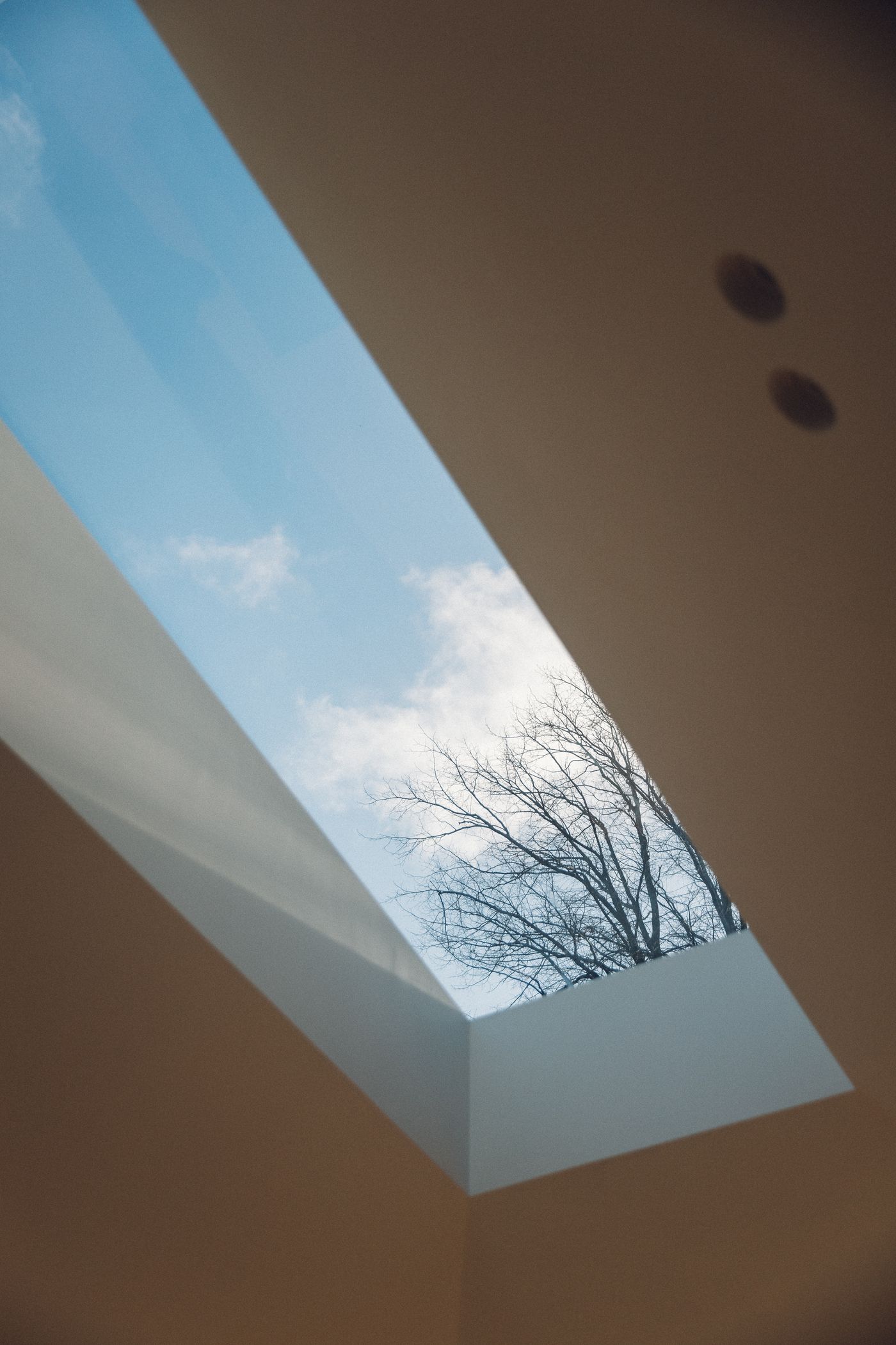 Endcliffe Villa维多利亚式住宅翻新与室内设计丨英国谢菲尔德丨FROM WORKS LTD-9