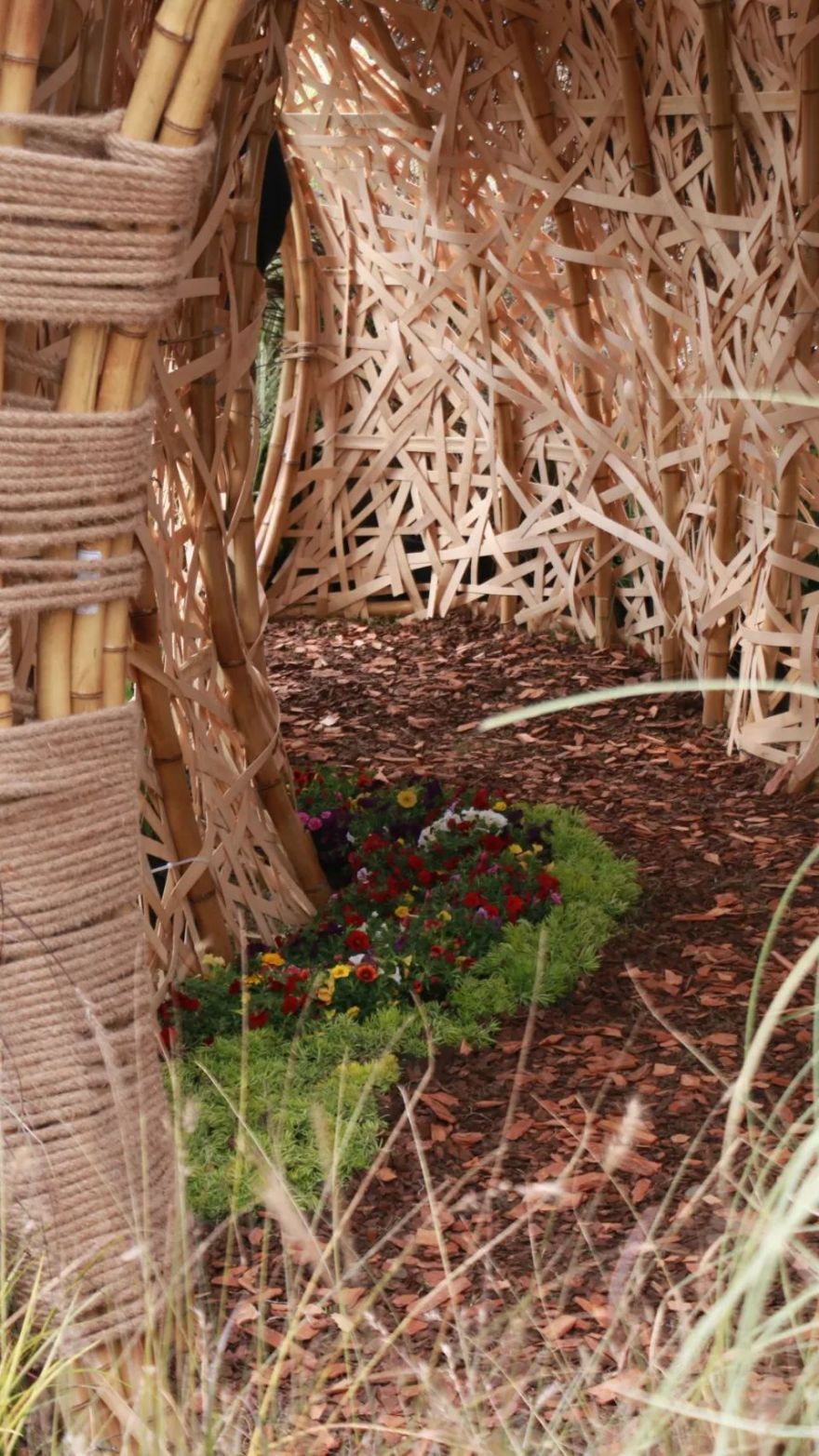 《森之秘语》 | 竹构树洞,寻觅心灵秘境-37