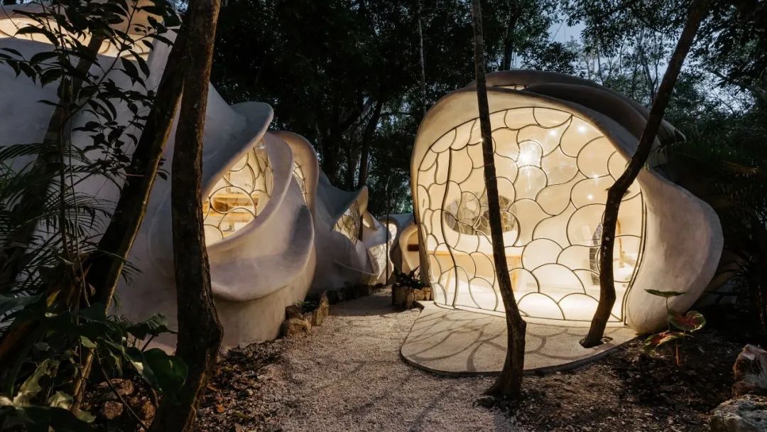 “昆虫翼”办公室 Fab Lab丨墨西哥丨Roth Architecture-8