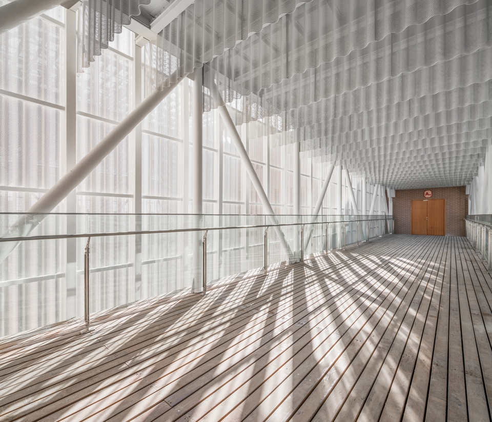 奉贤区老年大学-20