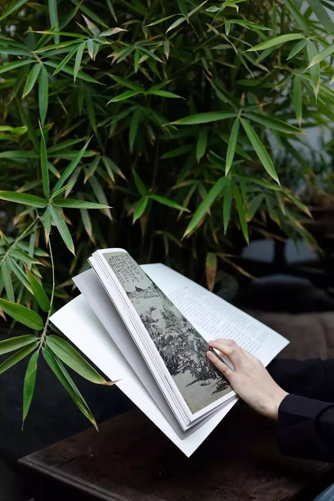 闲读消夏,书卷清凉-27