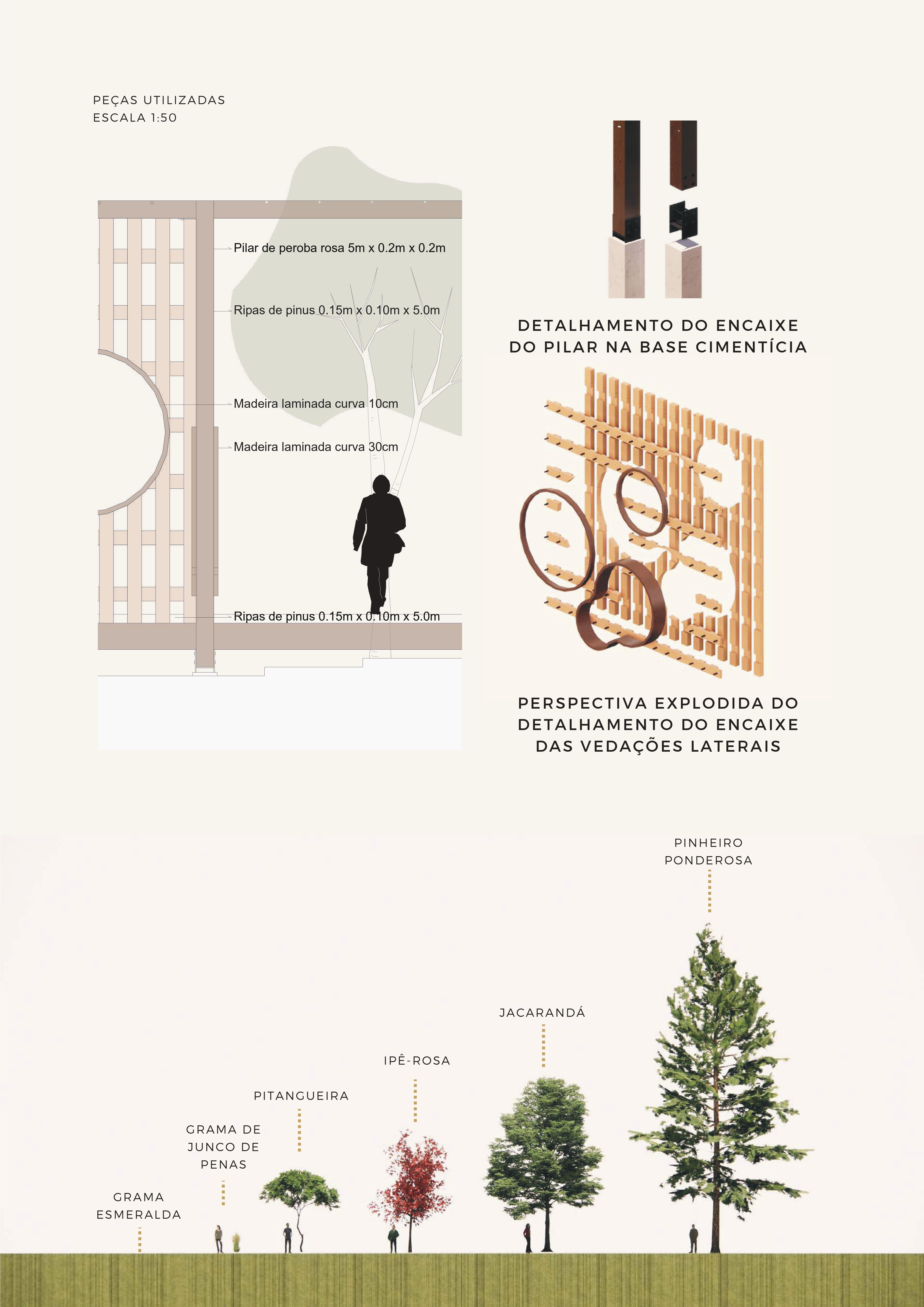 Percurso Carpe Diem - Projeto V 2022.1-5