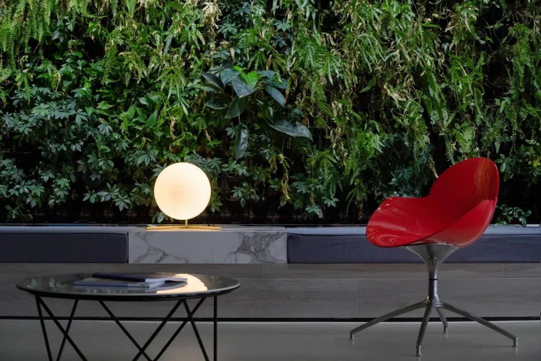 玉米之家 | 宁波 1300 平米生态办公空间设计-12