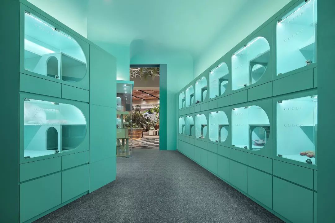 未耒 | 蓝绿矩阵 猫咪丛林-19