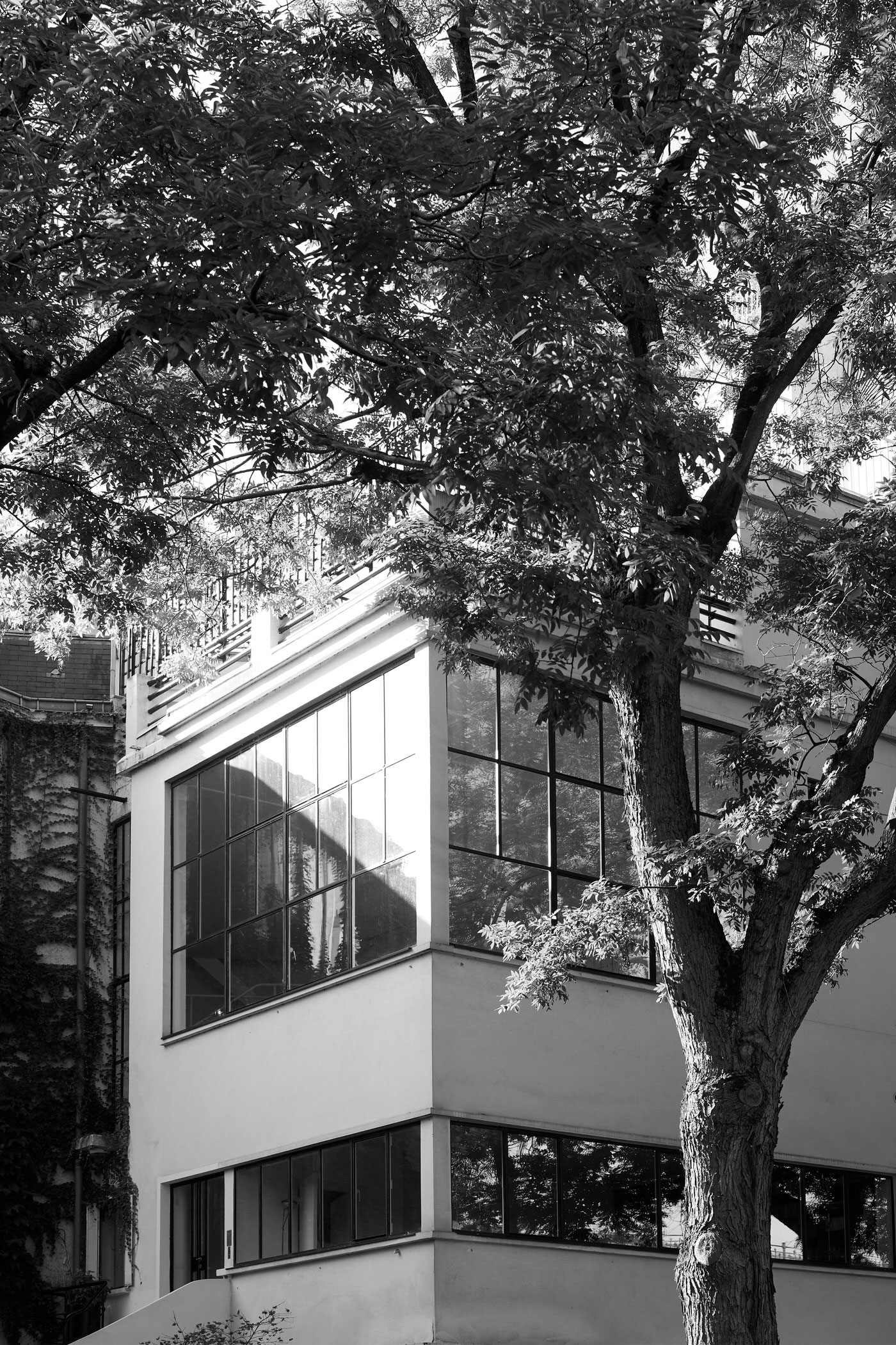 Genius Loci 沉浸式展览丨法国巴黎丨Benoît Maire-3