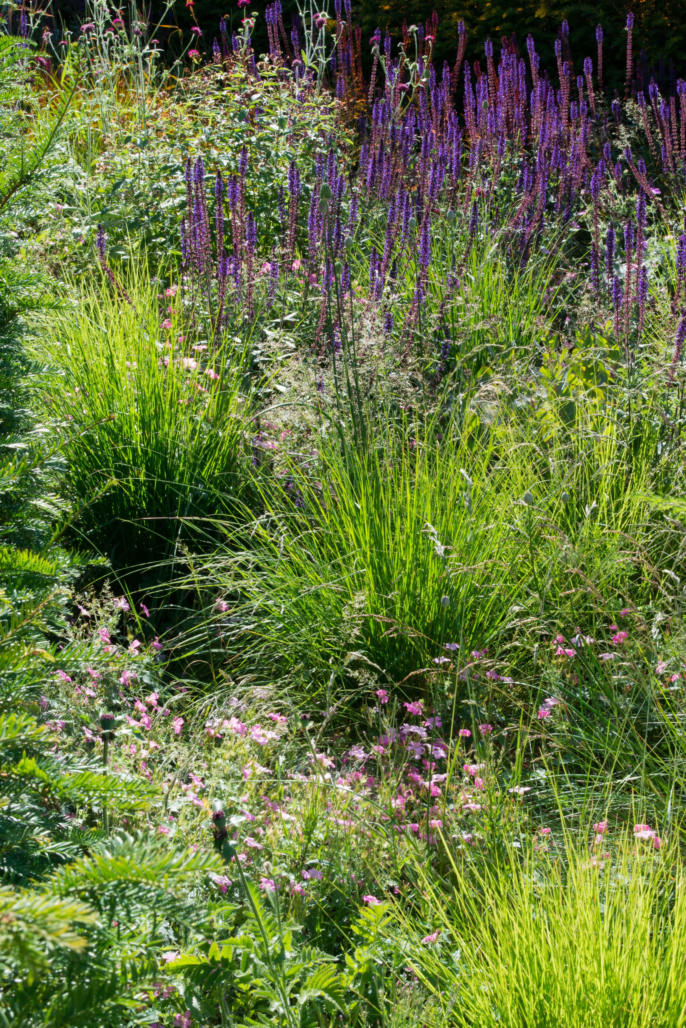 整个欧洲，德尔瓦景观建筑师事务所-53