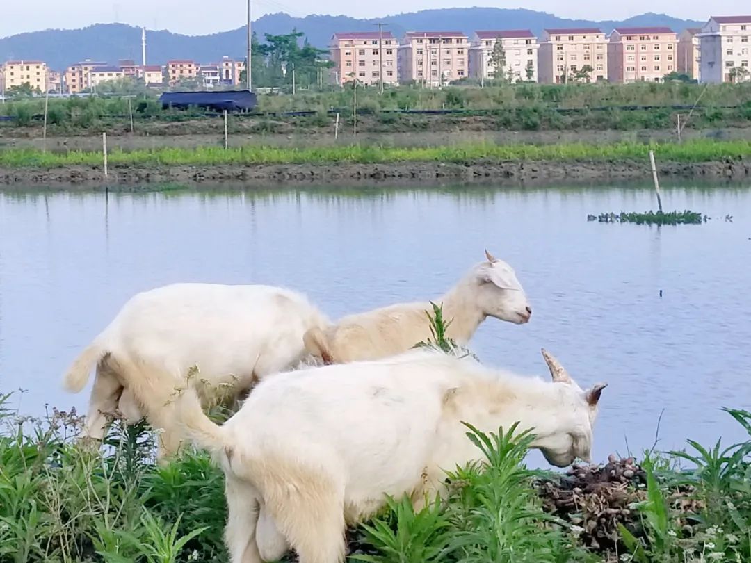 品东装饰户外团建活动 | 快乐工作，健康生活-18