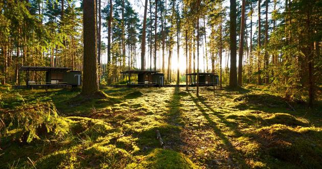 SCDA腾达（注：若SCDA有特定专业含义，仅根据现有信息难以更精准翻译，Tenda常见为腾达品牌名 ） 丨印度-9