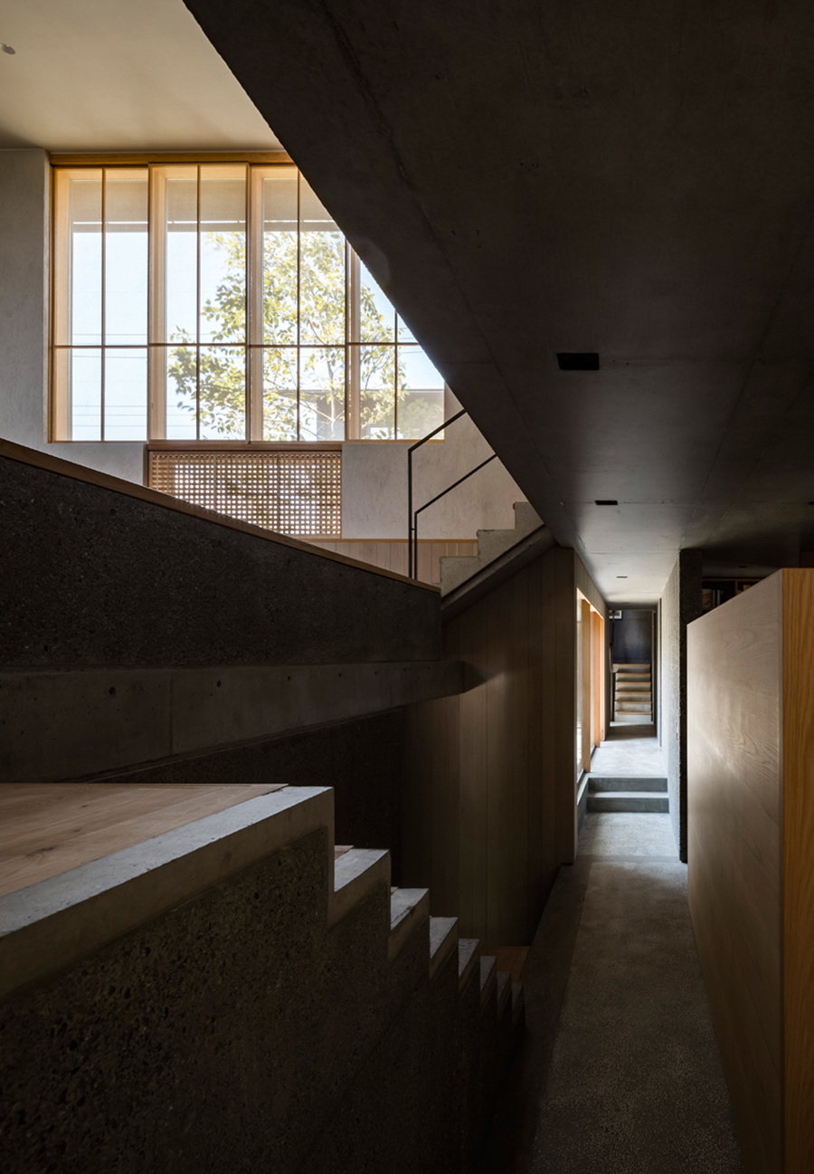 井之头之家丨日本东京丨T.Teshima Architects-6