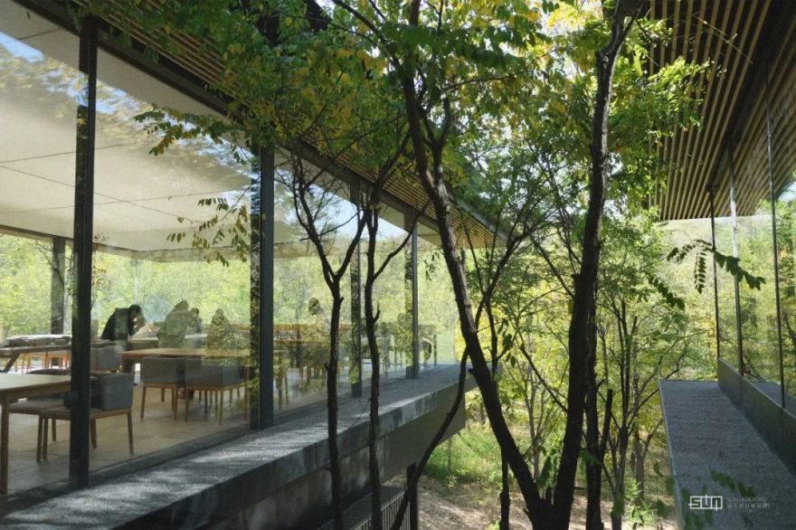 阿那亚海岛艺术之旅 | 寻找自然与艺术的回响-123