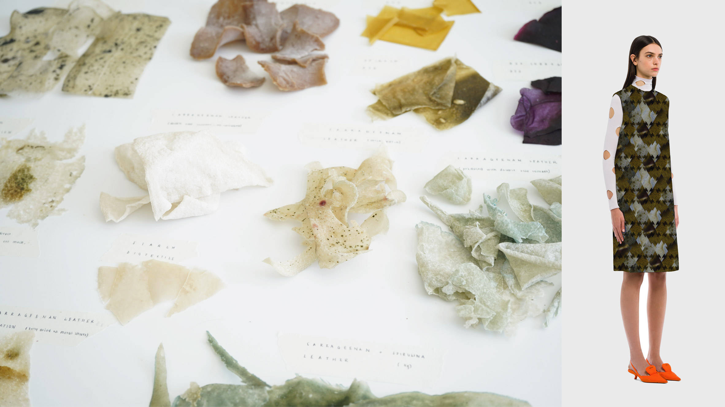 IE 大学西班牙分校展示 10 个建筑与设计项目-43