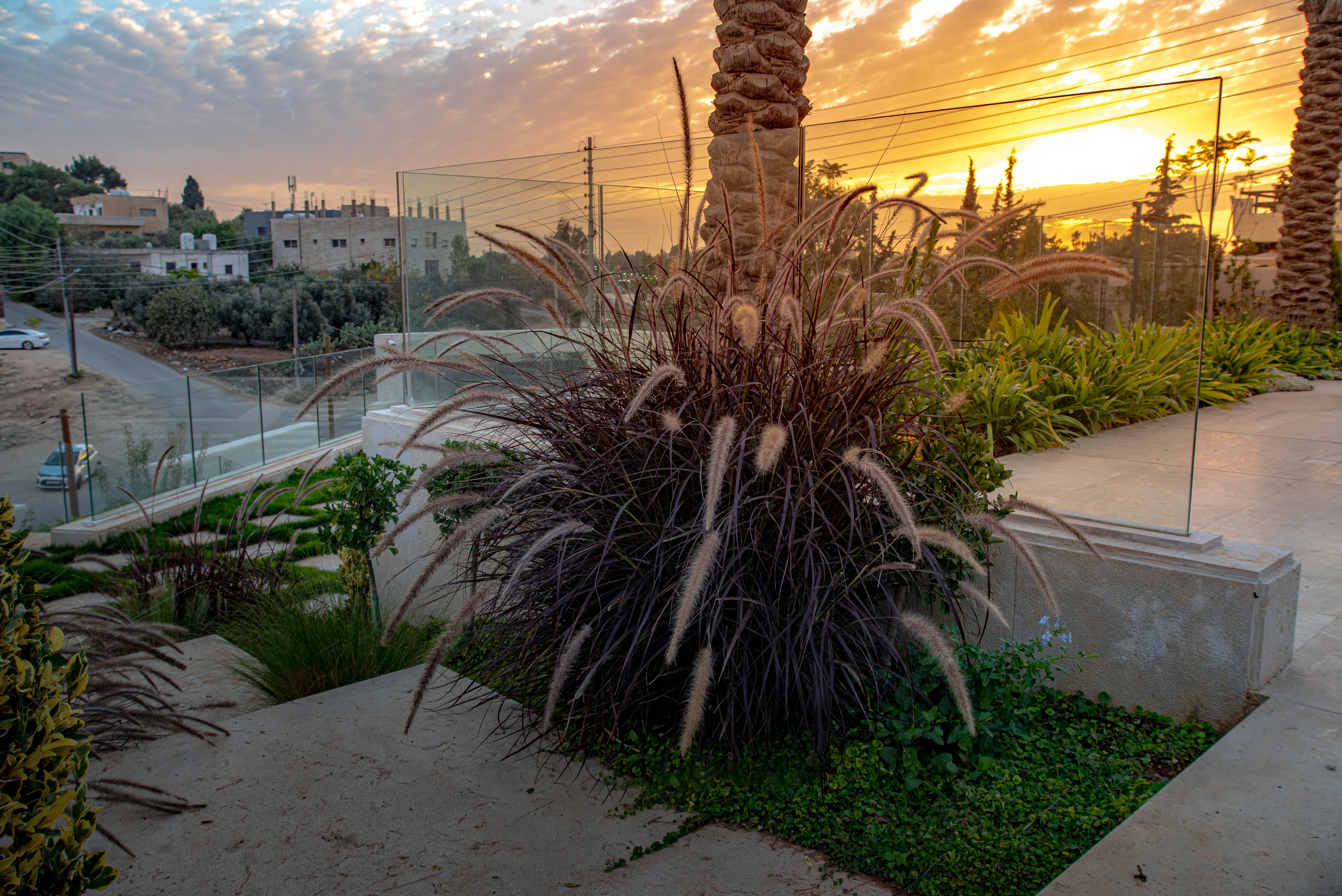 Landscape Desgin Photography-7