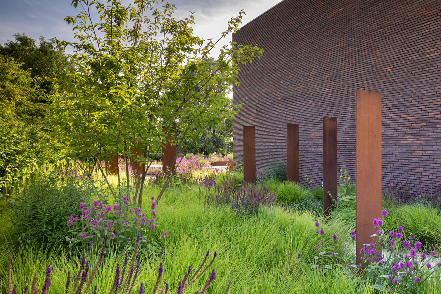 诗意中游弋 | Colm Joseph-57