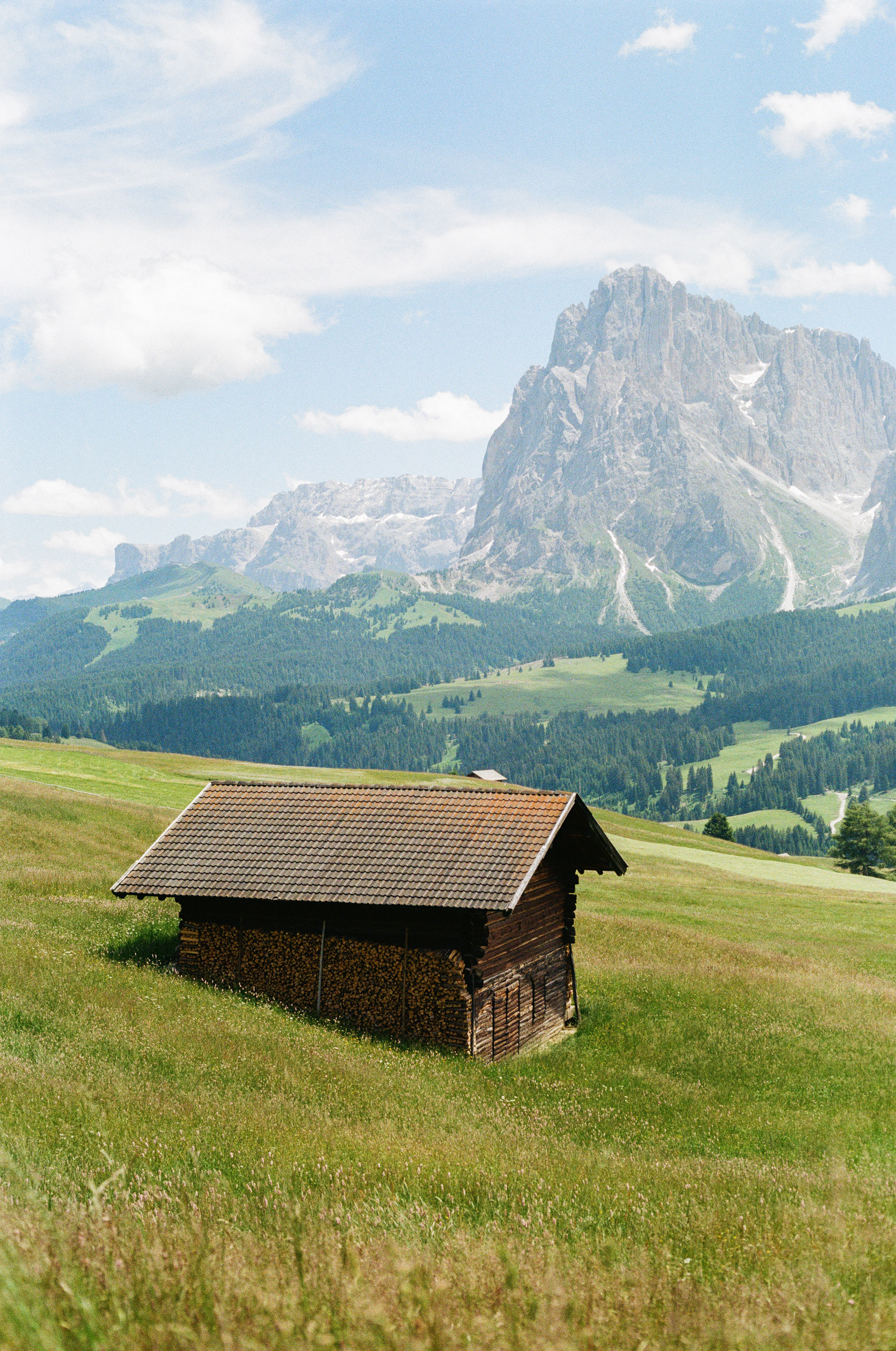 模拟景观丨martin morgenweck-8