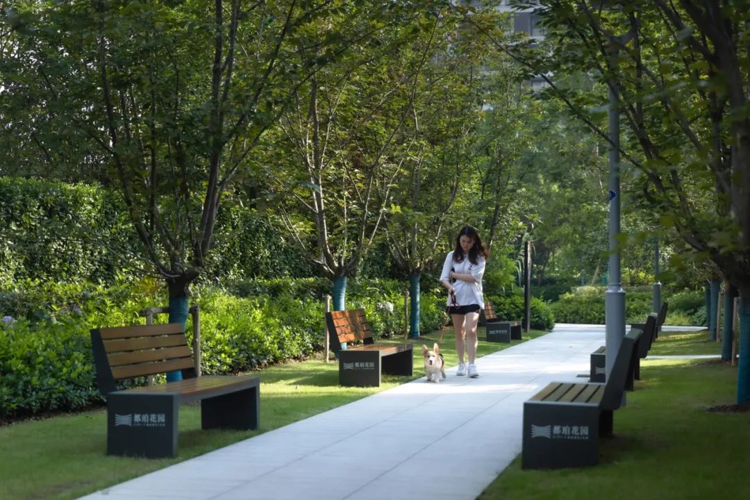 园路列植设计丨上景总工办-92