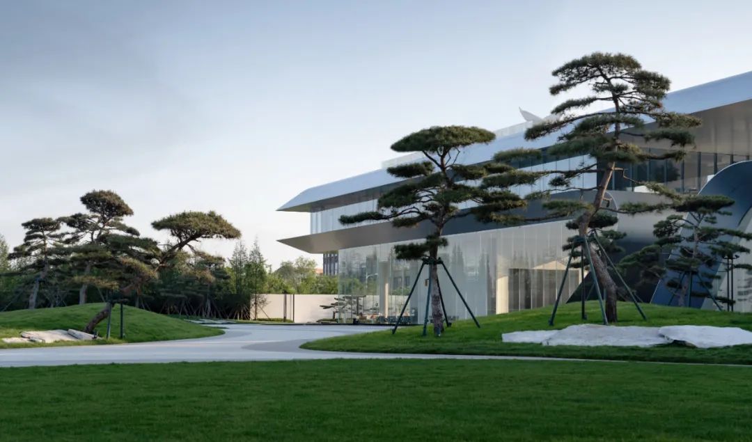 松林浪屿，海岸逐光丨青岛 · 云上观海-56