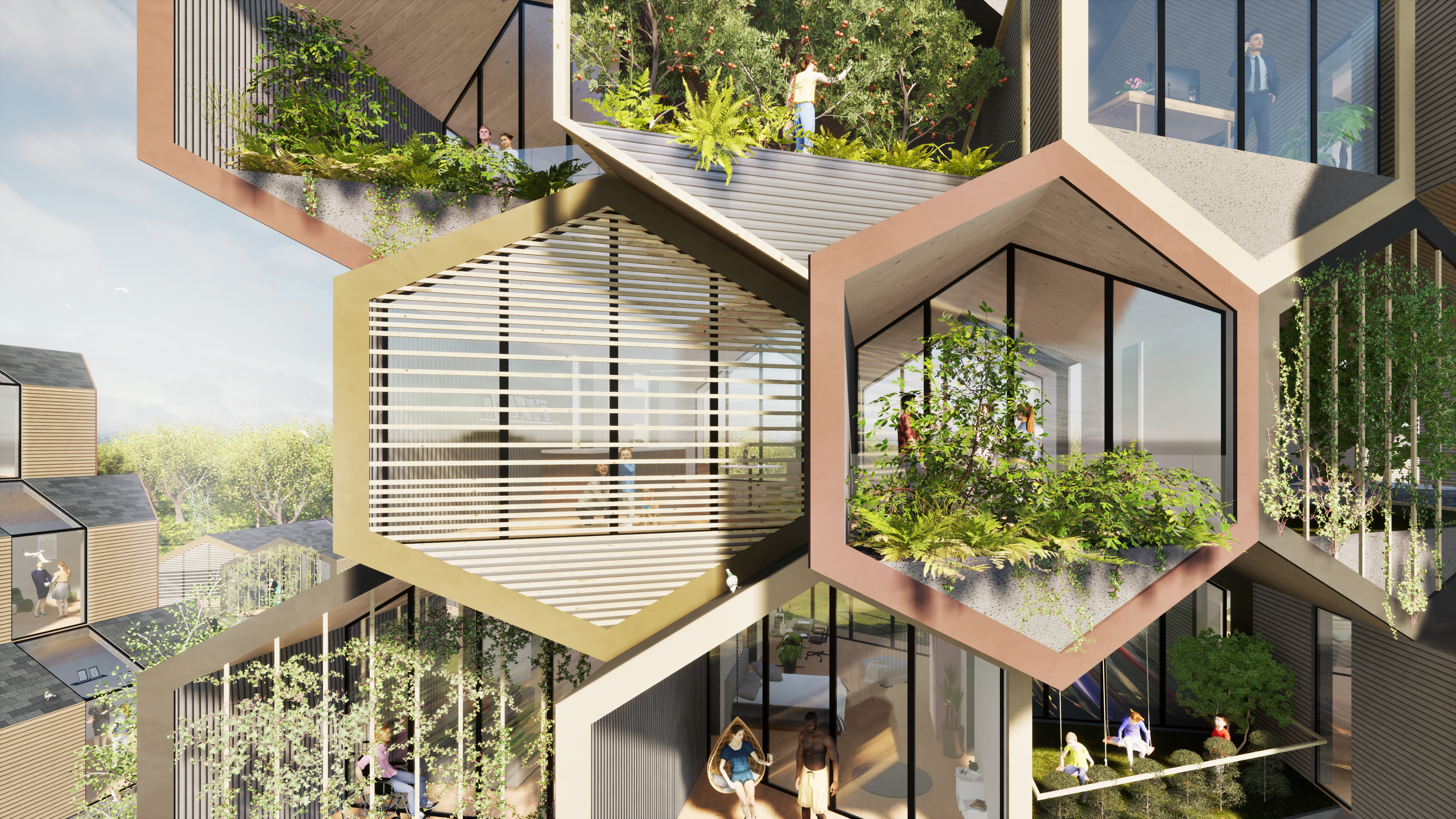 蜂巢项目丨英国丨Roman Pomazan 等-14