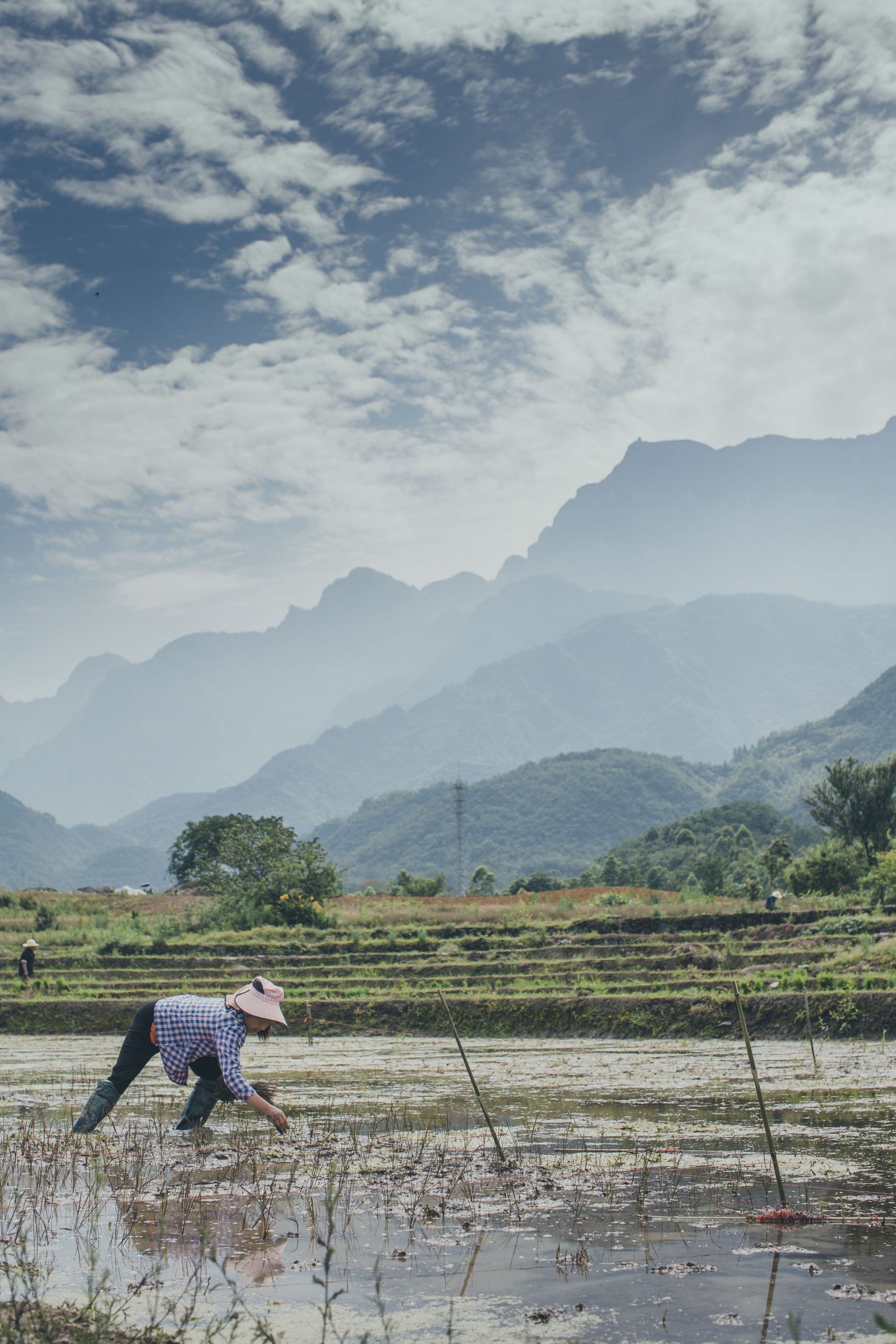 峨眉·高桥小镇丨中国眉山丨四川乐道景观设计有限公司-85