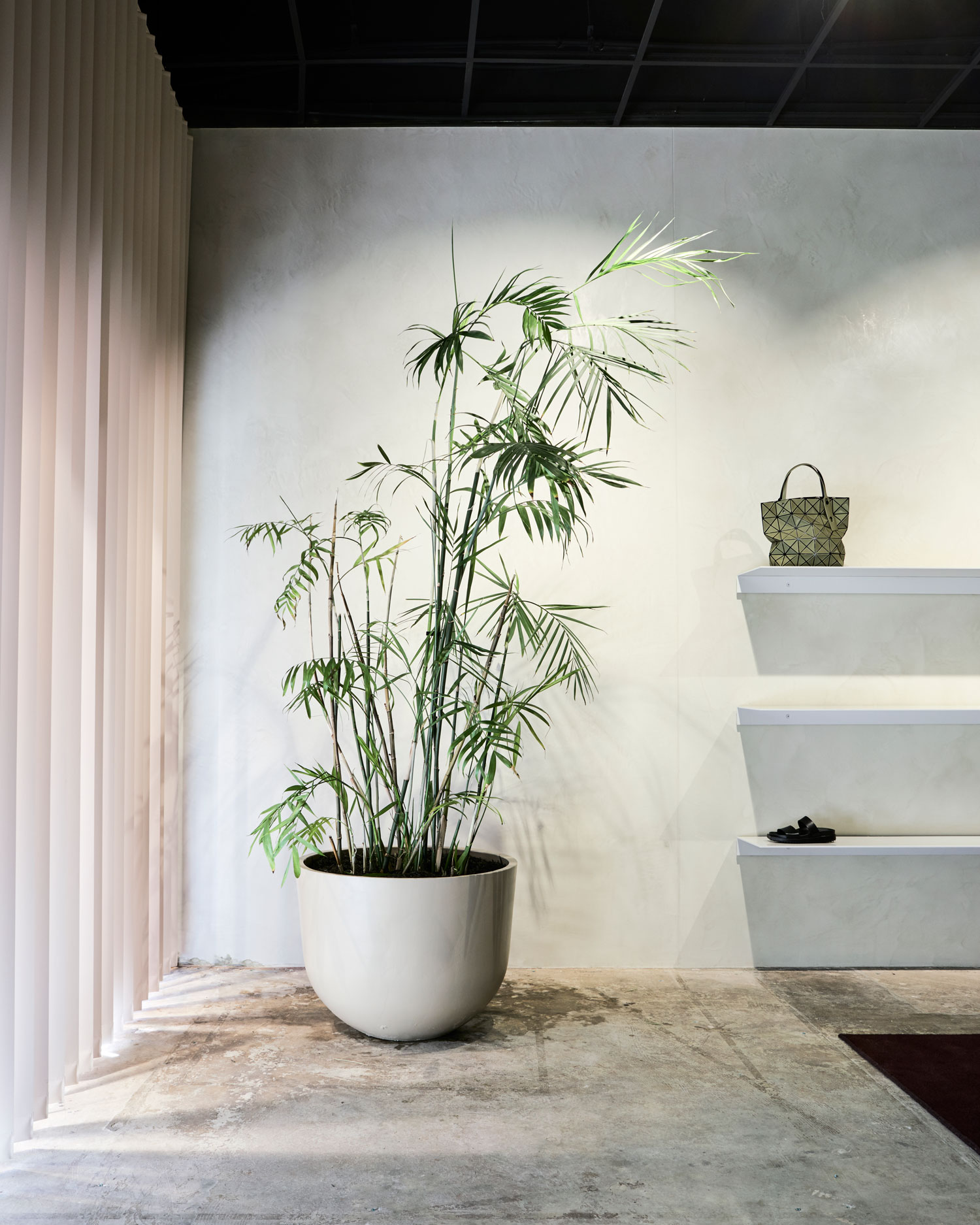 来自俄亥俄工作室的珍·洛的业余爱好者-15