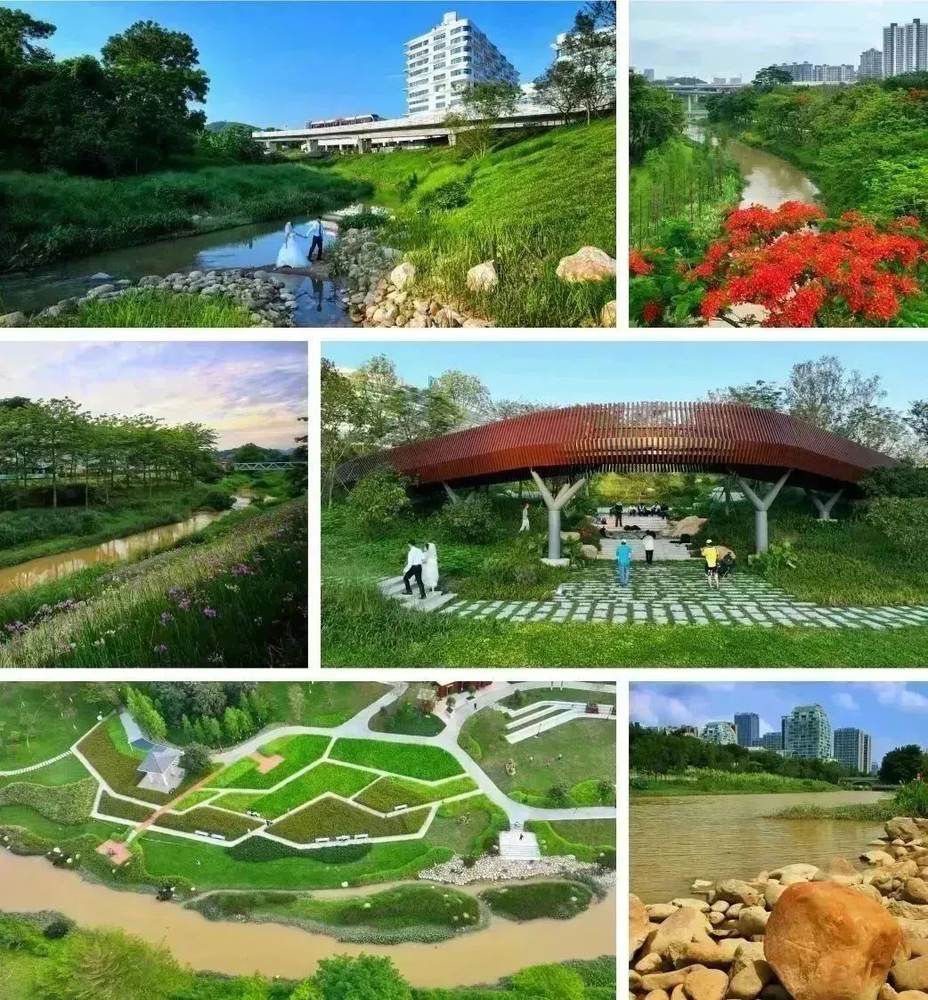 广州南岗河生态修复项目丨中国广州丨AECOM团队-72