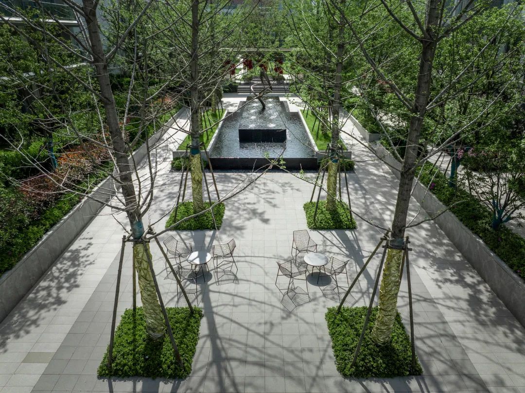 中南作品 | 建德江上云起，临江画境，自然盛景-15