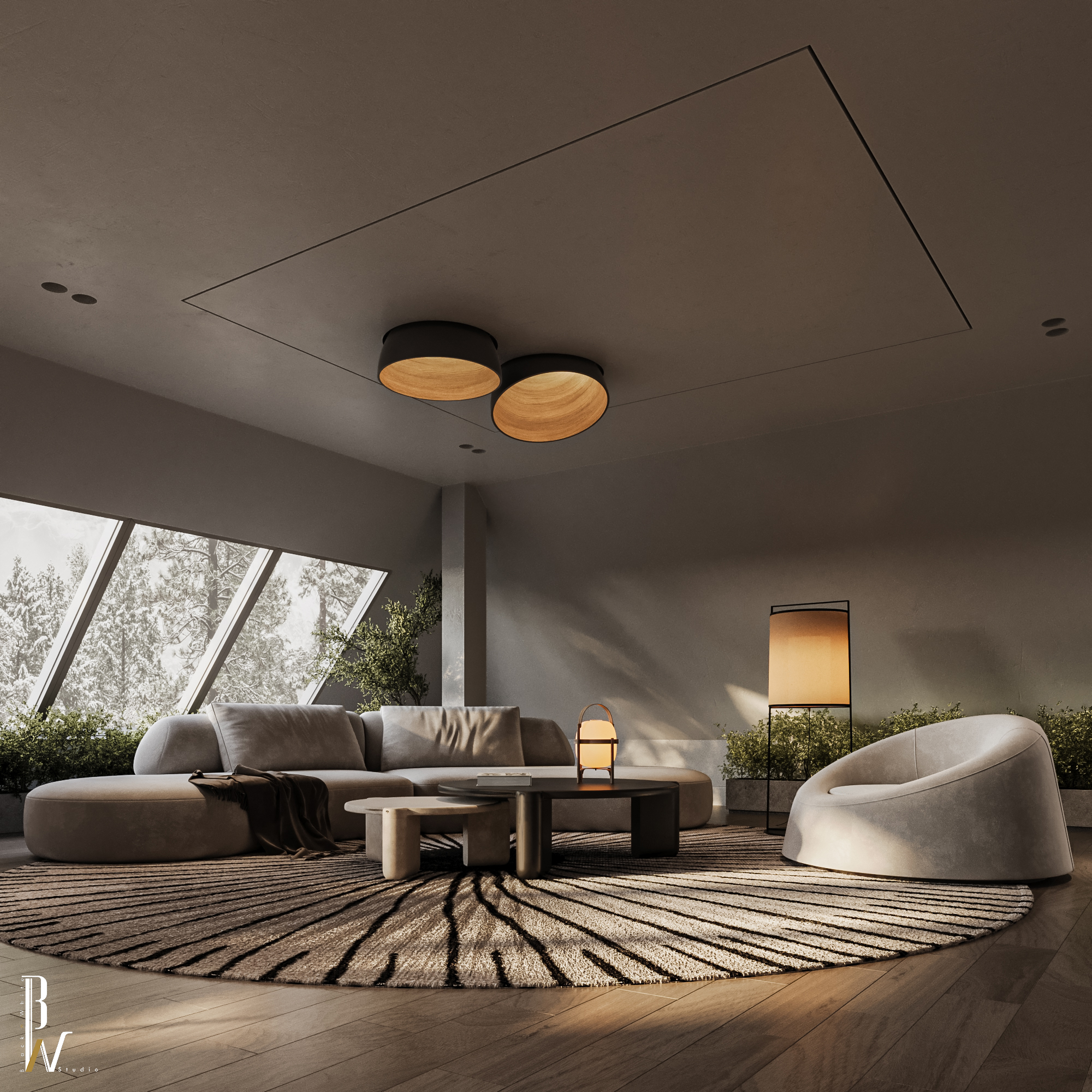 坡顶房屋居住区域丨英国曼彻斯特丨Black N White-16