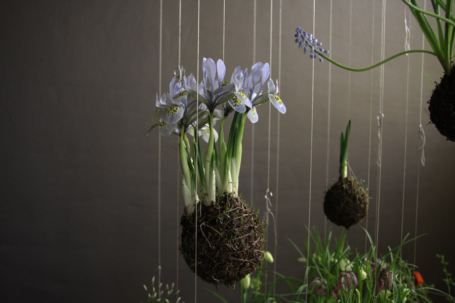 Fedor Van der Valk 打造室内绿洲 · 创意日本园林风格-8