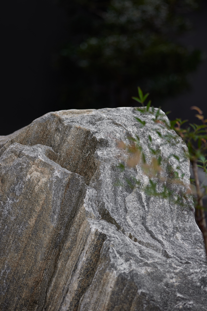 東胤建筑 胡荣新作|隐于幽玄-21