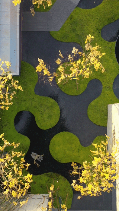 文人笔下的姑苏生活图卷|苏州花语天境-27