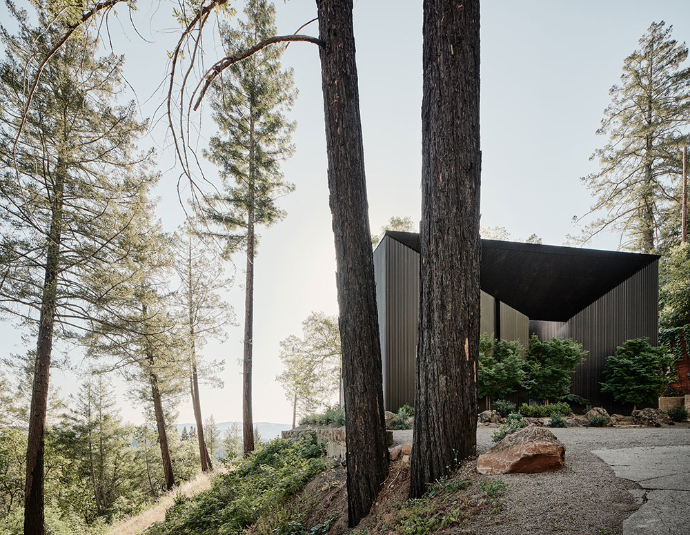 加州纳帕谷的现代玻璃金属森林别墅-25