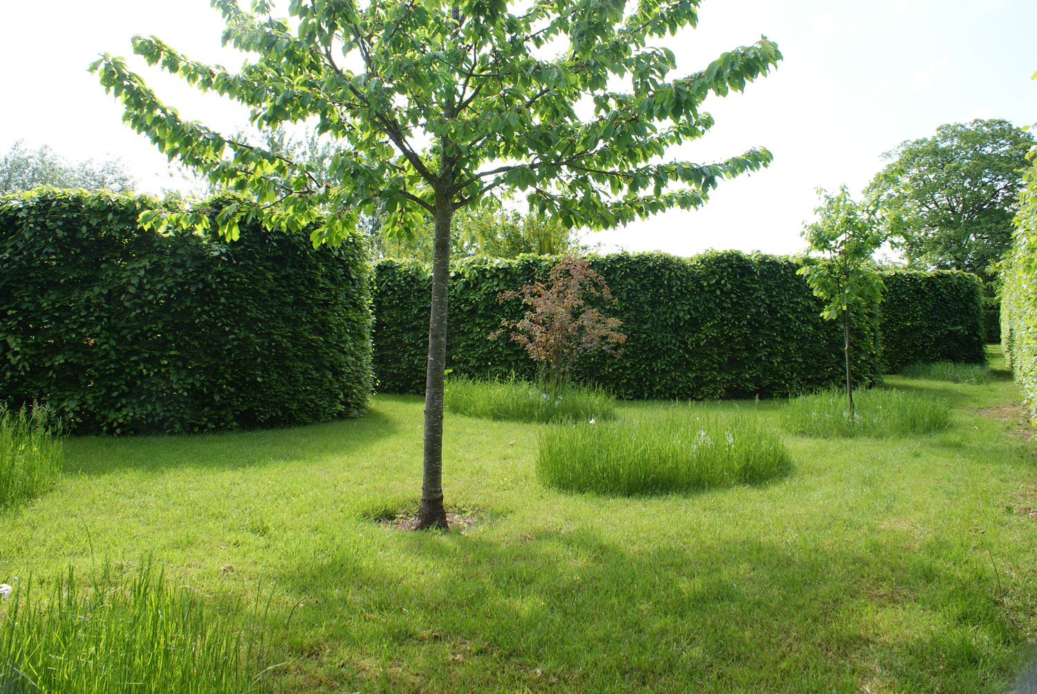 丹麦私家花园 Ellipse Garden-8