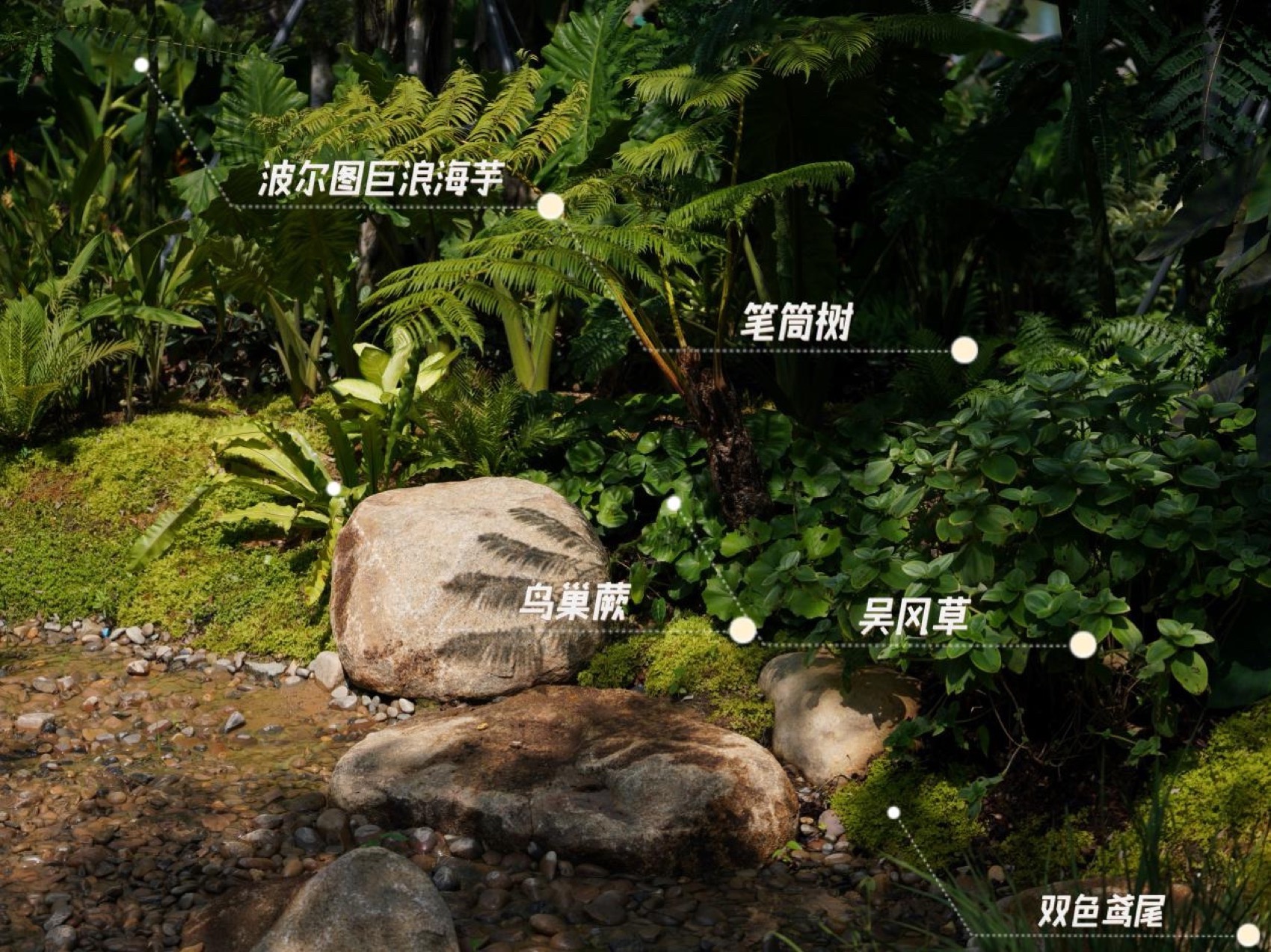 三亚海棠河生态公园阔叶浅溪段的花境生态营造丨中国三亚丨LOLA景观建筑设计事务所-47