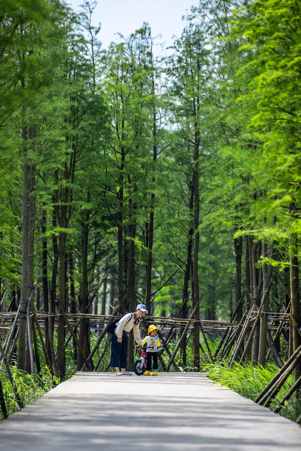 南昌鱼尾洲湿地公园丨中国南昌丨土人设计-25
