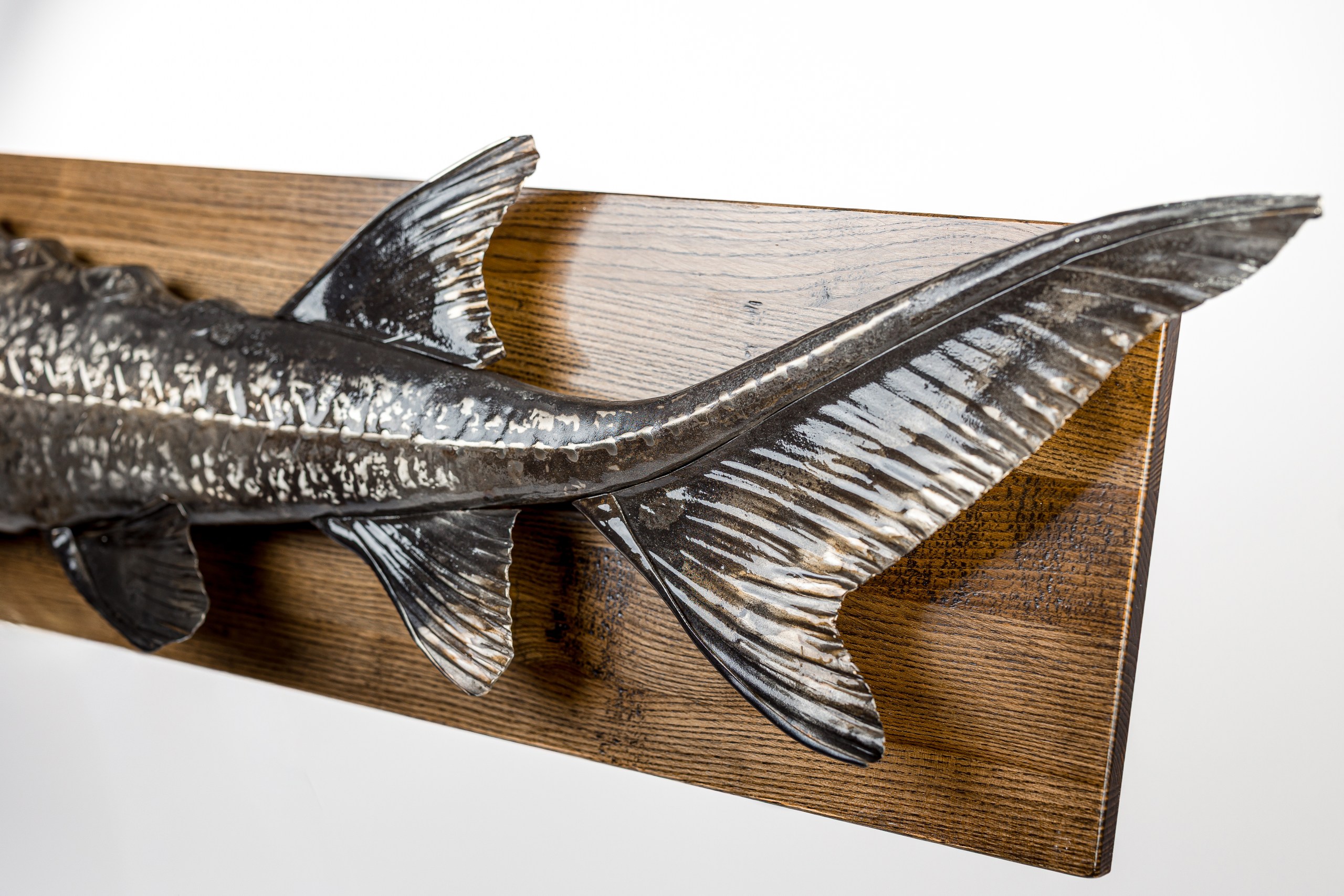 Стерлядь настенная из нержавеющей стали-7