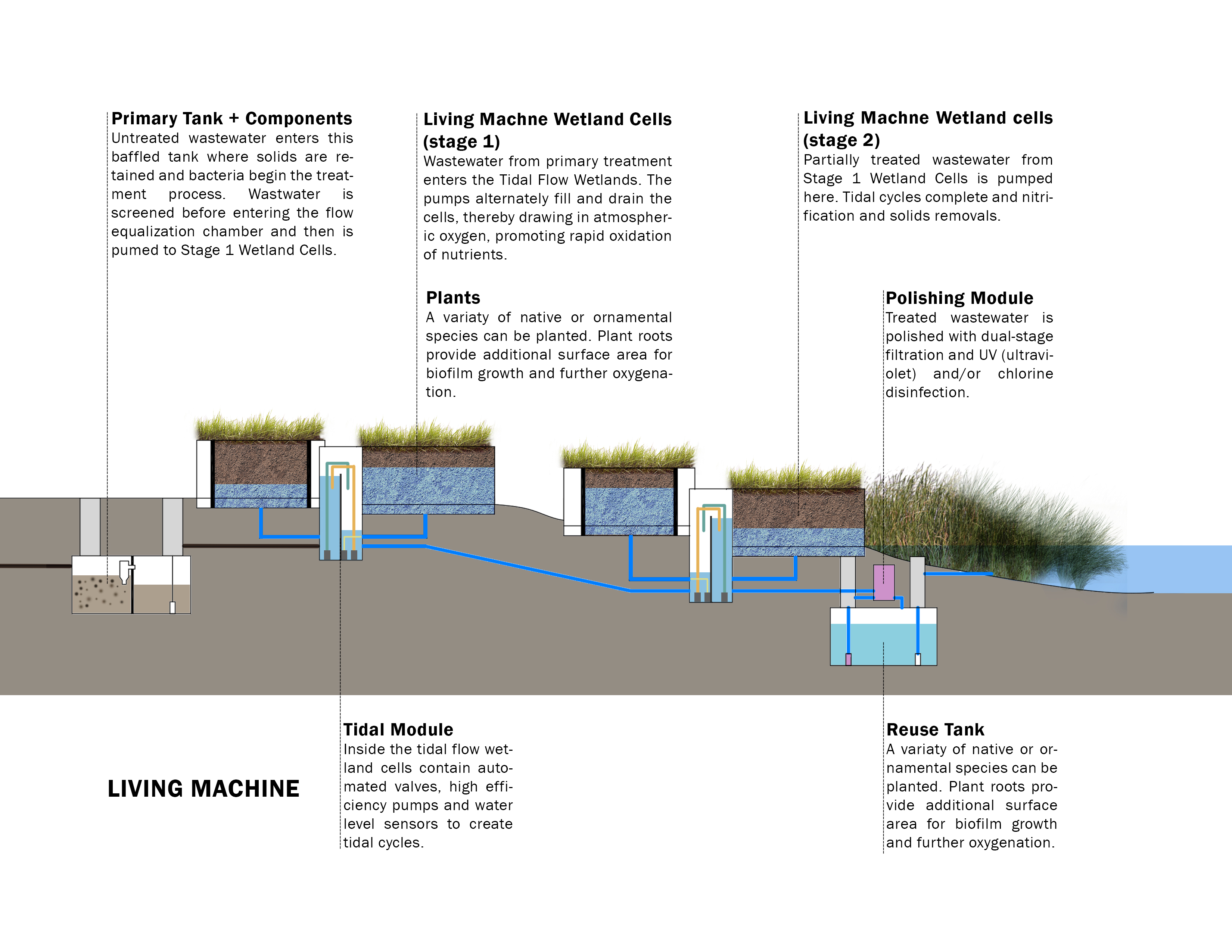Kingman Island 教育中心丨美国华盛顿丨ISTUDIO Architects-17