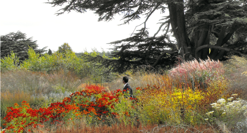 北京远洋新天地景观改造丨中国北京丨远洋生态·北京远洋景观规划设计院有限公司-142
