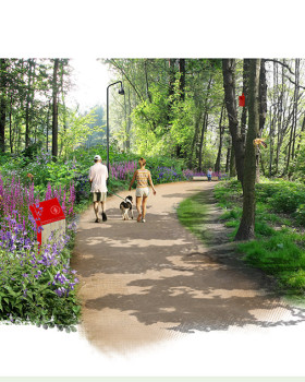 Wizualizacje projektu