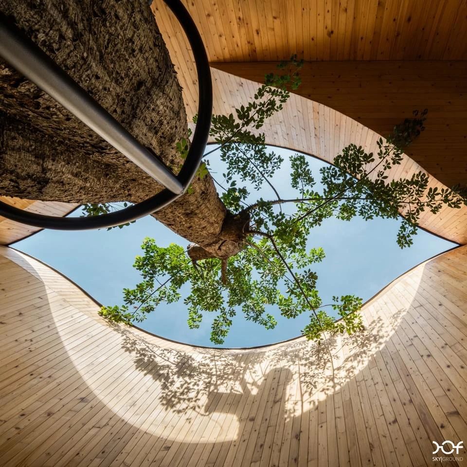 黑色咖啡馆 在自然间流动：泰国 Harudot Chonburi by NANA Coffee Roasters-30