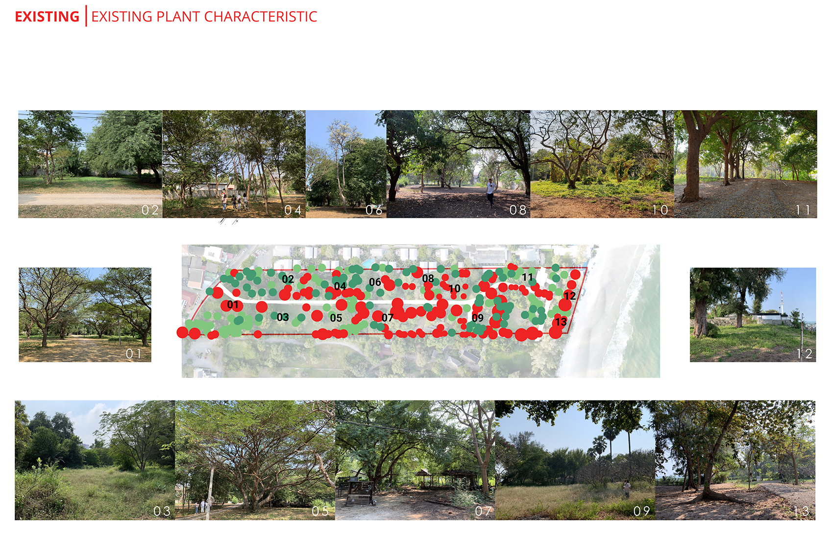 The Standard 度假区景观设计丨泰国丨Shma-62