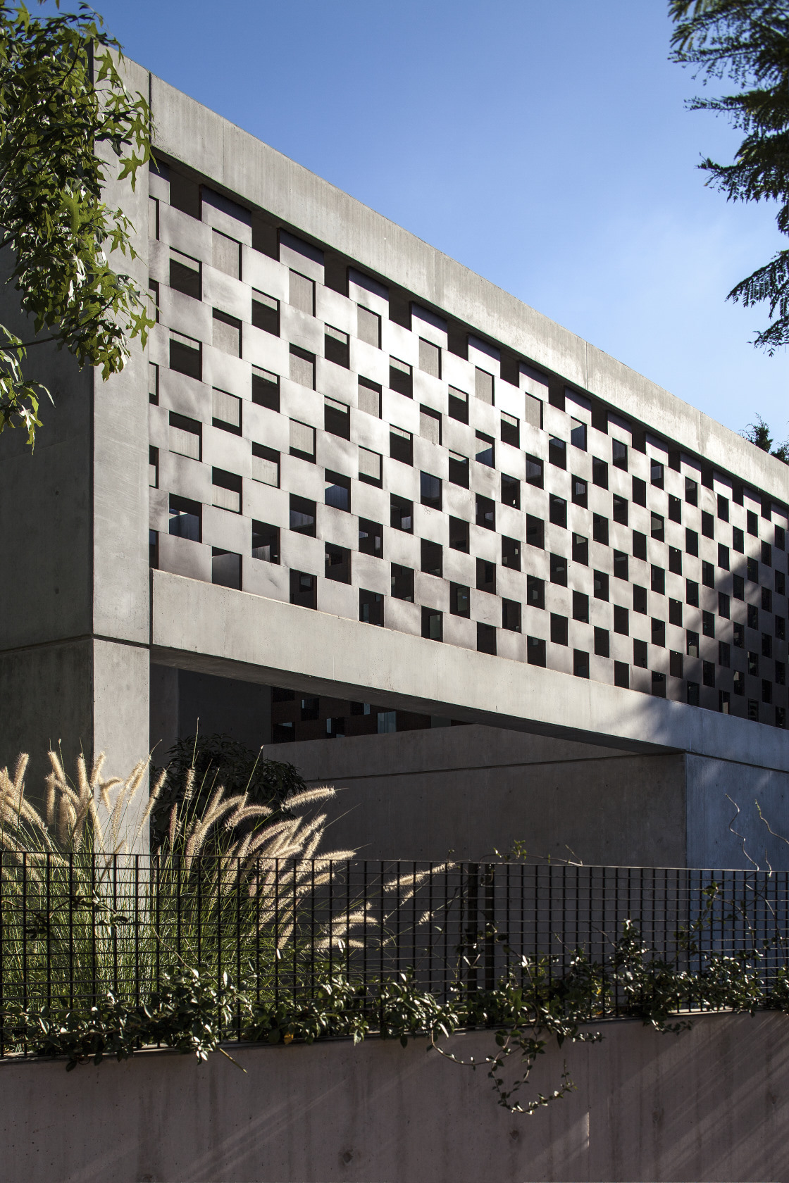 以色列阴影别墅丨Pitsou Kedem Architects-24