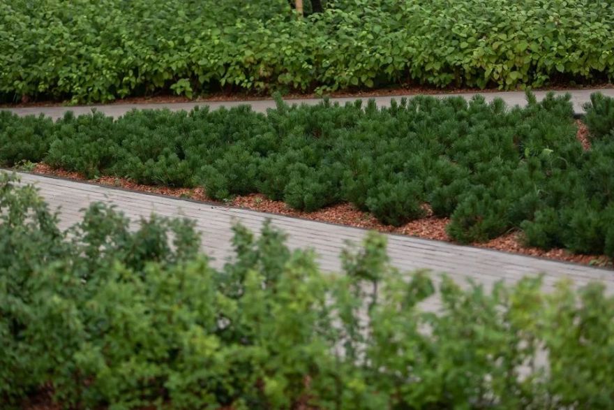 叶卡捷琳堡“人行峡谷”景观设计丨俄罗斯-23