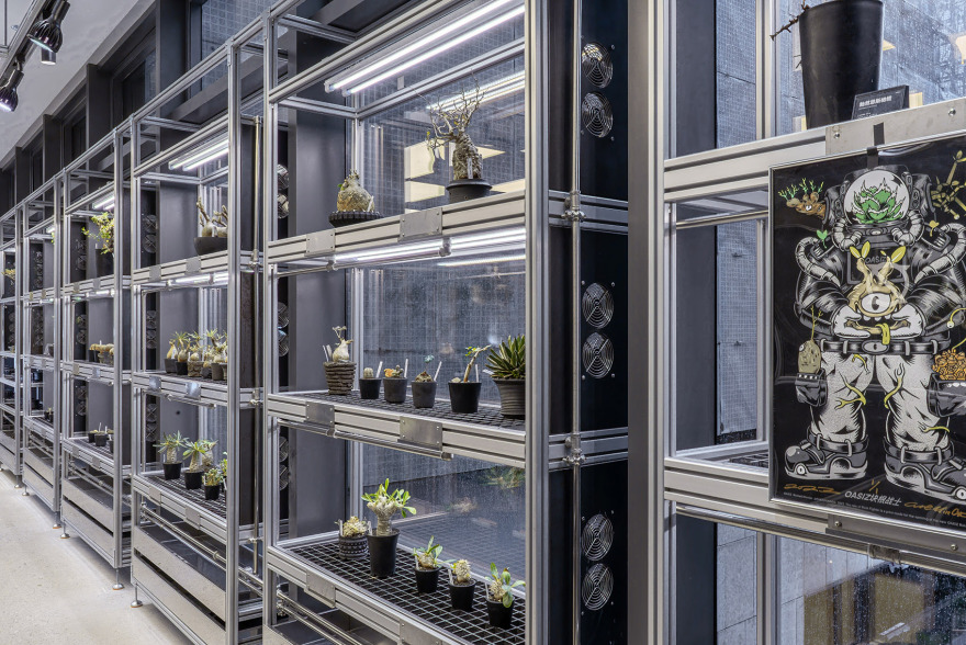 OASIZ 绿洲(HAUS NOWHERE 店)丨中国深圳丨Ruhaus Studio-43